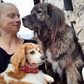 Foto inzerátu CINDY - 7 kg, kastrovaná fenečka 13 let 