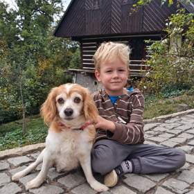 Foto inzerátu CINDY - 7 kg, kastrovaná fenečka 13 let 
