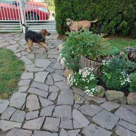 Foto inzerátu DARUJI FENEČKU