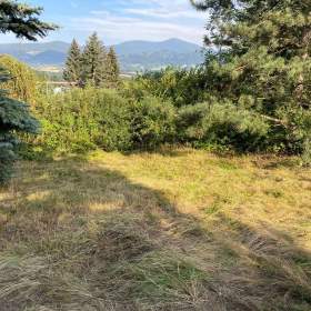 Foto inzerátu RD 4+1 - 170m2 + zahrada 1240m2.+ sklep 71m2 - Frýdlant nad Ostravicí