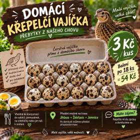 Foto inzerátu Křepelčí vajíčka
