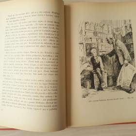 Foto inzerátu Malý lord (F. Hodgson Burnett)