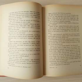 Foto inzerátu Malý lord (F. Hodgson Burnett)