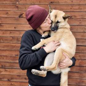 Foto inzerátu REBECCA - 12 kg, kastrovaná fenečka 2 roky 