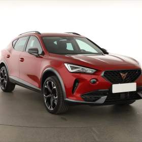 Cupra Formentor 2.0 TSI 4Drive / 19296811