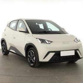 BYD Seagull 38 kWh LFP / 19297430