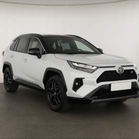 Toyota Rav4 2.5 Hybrid / 19301048
