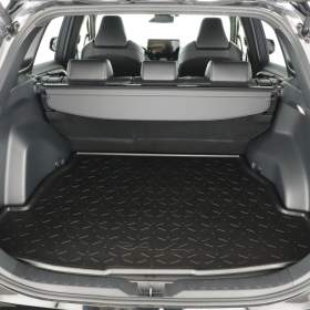 Foto inzerátu Toyota Rav4 2.5 Hybrid