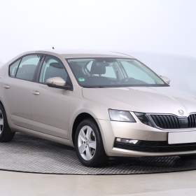 Škoda Octavia 2.0 TDI / 19338053