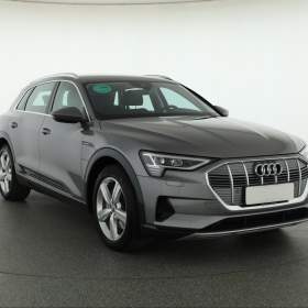Audi e- tron e- tron 55 quattro / 19374420
