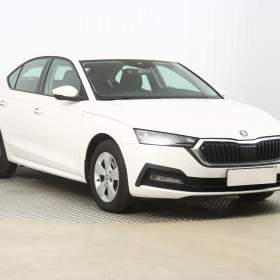 Škoda Octavia 2.0 TDI / 19401321