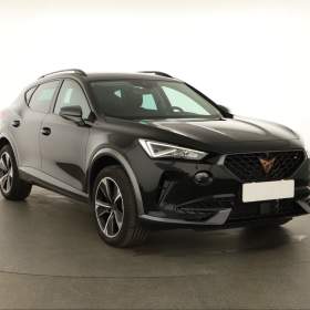 Cupra Formentor 2.0 TSI 4Drive / 19411692
