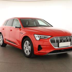 Audi e- tron e- tron 55 quattro / 19433467