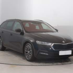 Škoda Octavia 2.0 TDI / 19485043