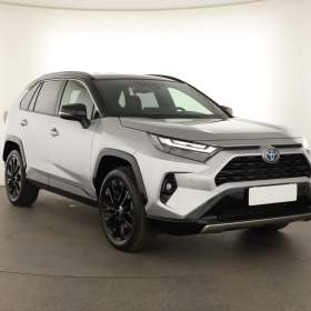 Toyota Rav4 2.5 Hybrid / 19485228