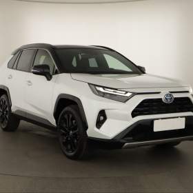Toyota Rav4 2.5 Hybrid / 19486369