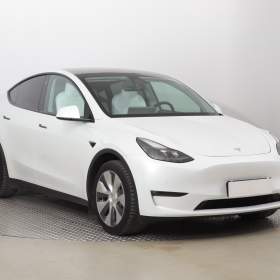 Tesla Model Y Long Range AWD 75kWh / 19486484