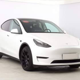 Tesla Model Y Long Range AWD 79kWh / 19487769