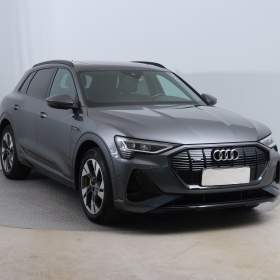 Audi e- tron e- tron 50 quattro / 19487986