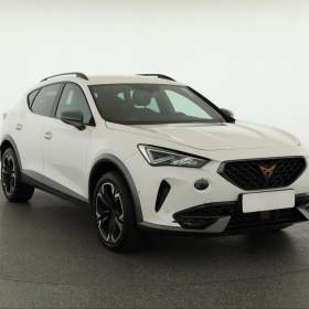 Cupra Formentor 2.0 TDI 4Drive / 19488611