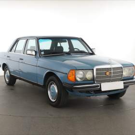 Mercedes W123 230 E / 19489055