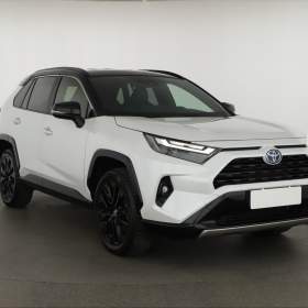 Toyota Rav4 2.5 Hybrid / 19492118