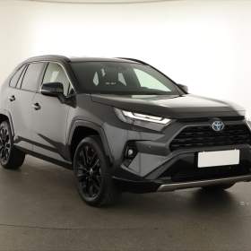 Toyota Rav4 2.5 Hybrid / 19492303