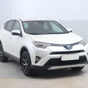 Toyota Rav4 2.5 Hybrid / 19494053