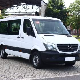 Mercedes- Benz Sprinter 316 NGT / 19494097
