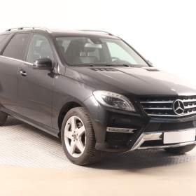 Mercedes- Benz ML ML 350 BlueTEC / 19494310