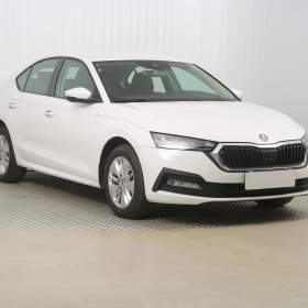 Škoda Octavia 2.0 TDI / 19494651