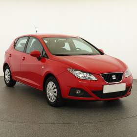 Seat Ibiza 1.4 16V / 19496256