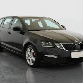 Skoda Octavia RS 2.0 TDI 4x4 DSG / 19496811