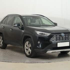 Toyota Rav4 2.5 Hybrid / 19498085