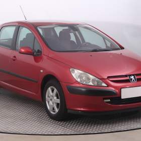 Peugeot 307 1.6 16V / 19511630