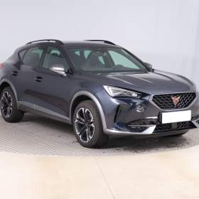 Cupra Formentor 2.0 TSI 4Drive / 19522035
