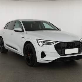 Audi e- tron e- tron 55 quattro / 19522466