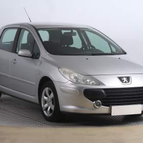 Peugeot 307 1.6 16V / 19528695