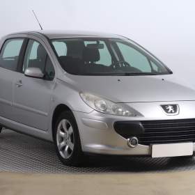 Peugeot 307 1.6 16V / 19528695