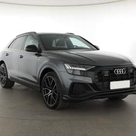 Audi Q8 50 TDI / 19538825