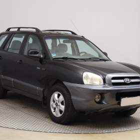 Hyundai Santa Fe 2.0 CRDi / 19541307