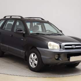 Hyundai Santa Fe 2.0 CRDi / 19541307