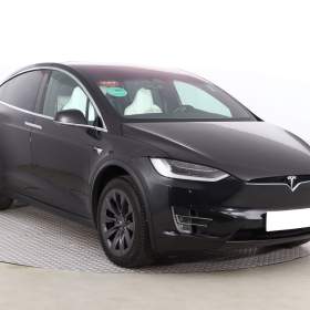 Tesla Model X 100D / 19542801