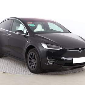 Tesla Model X 100D / 19542801