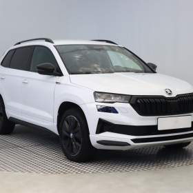 Škoda Karoq 2.0 TDI / 19544068