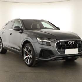 Audi Q8 50 TDI / 19556016