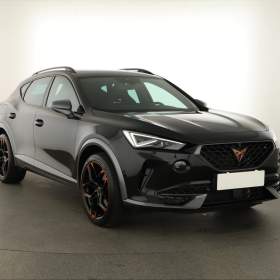 Cupra Formentor 2.0 TSI 4Drive / 19560112
