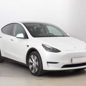 Tesla Model Y Long Range AWD 79kWh / 19566266