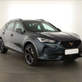 Cupra Formentor 2.0 TSI 4Drive / 19566438