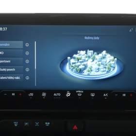 Foto inzerátu Ford Tourneo Custom 2.0 EcoBlue